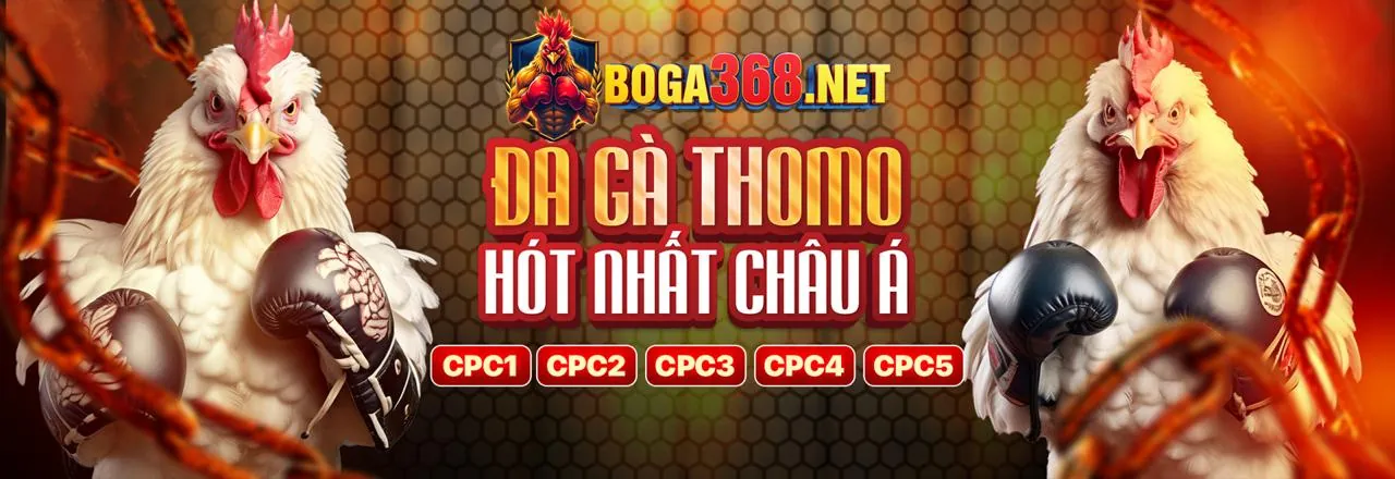 Cá cược thể thao King78